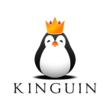 cod reducere 10% kinguin - jocuri
