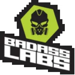 badasslabs.ro-logo-snippet