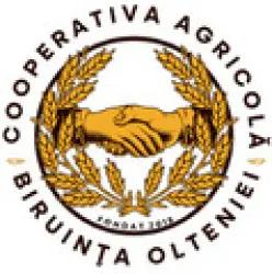 CashClub - Get commission from biruintaolteniei.ro