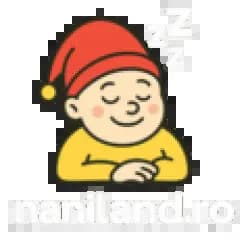 naniland.ro-logo-snippet