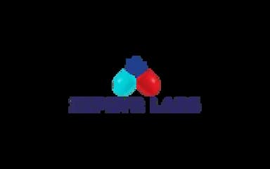 zephyrlabs.ro-logo-snippet