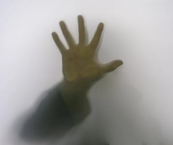 thrillere psihologice cărți thriller recomandate cele mai bune thrillere cărți captivante top cărți thriller suspans și mister literatură psihologică romane bestseller thrillere noi 2