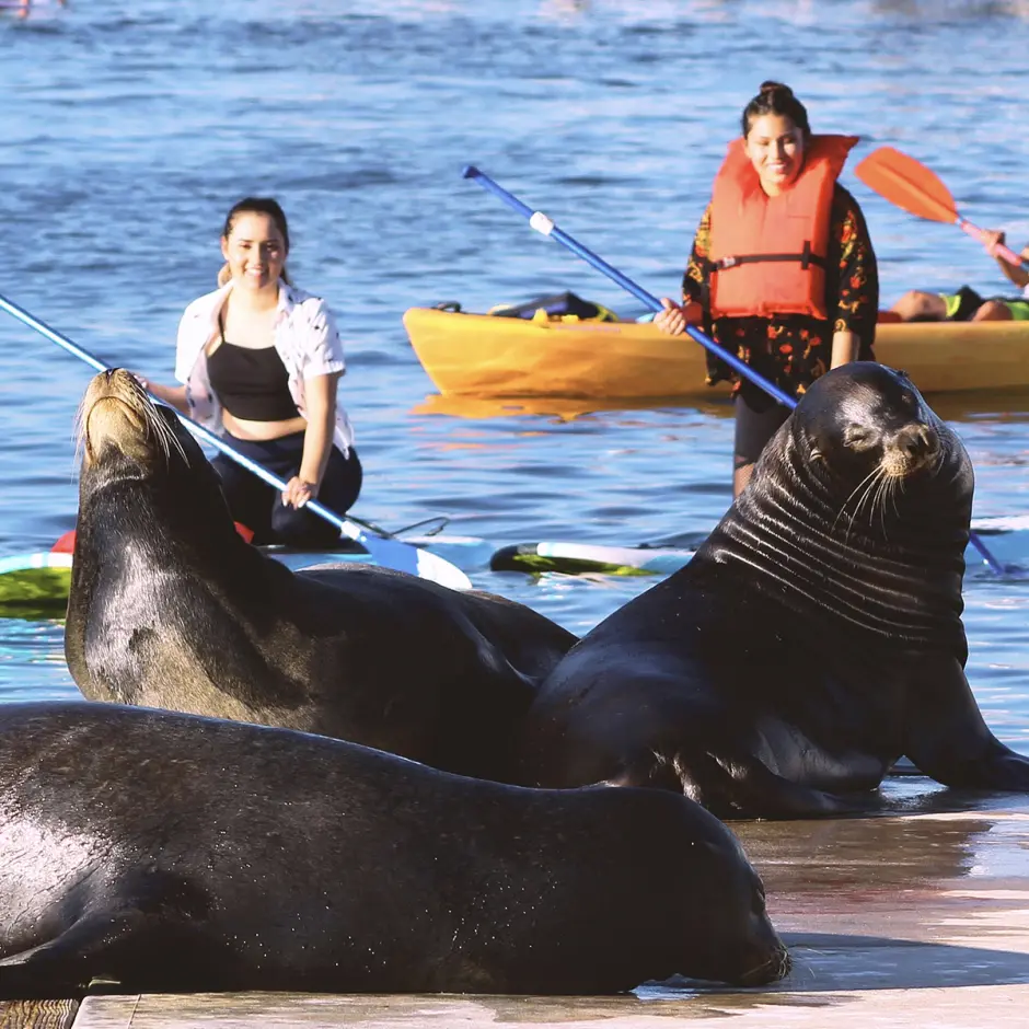 GetYourGuide platforma