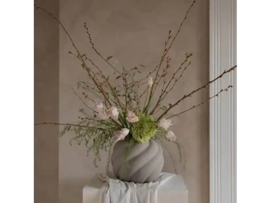 plante și deco-uri cashclub